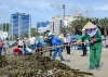 Khẩn trương dọn dẹp hơn 100 tấn rác trôi dạt vào bãi biển Vũng Tàu