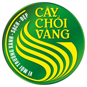 Giải thưởng Cây chổi vàng